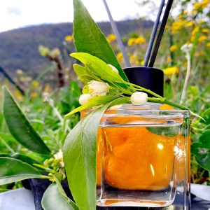 flacon capilla fleur oranger producteur local cote d azur grasse