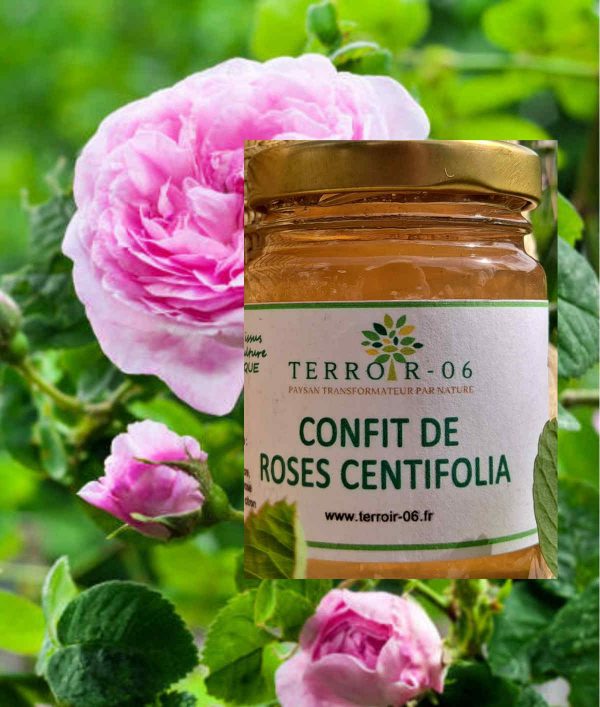 confit rose centifolia producteur grasse cote d azur produits regionaux