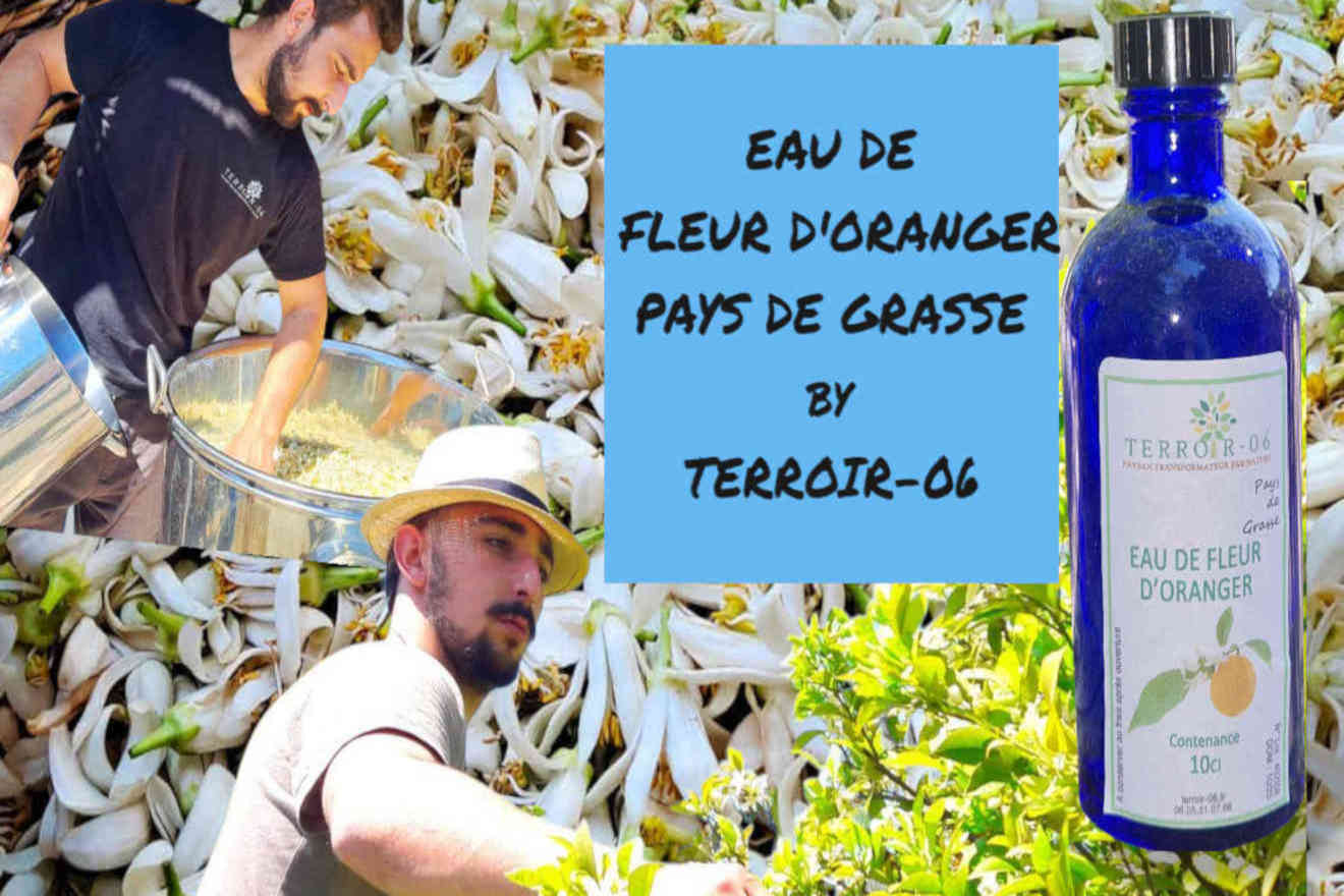 ppam producteur bio en pays de Grasse
