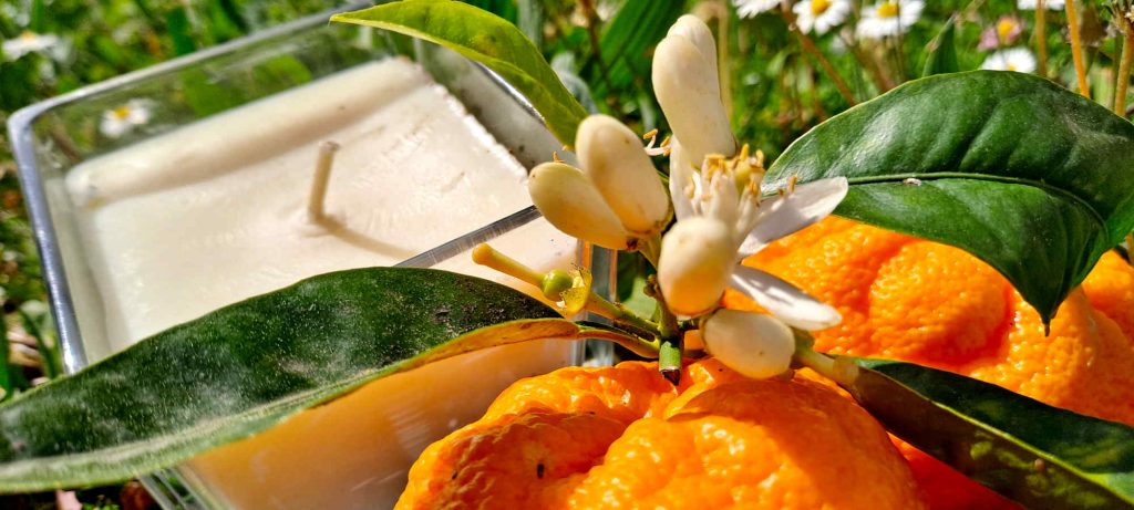 Bougie fleur d’oranger dans un carré en verre
