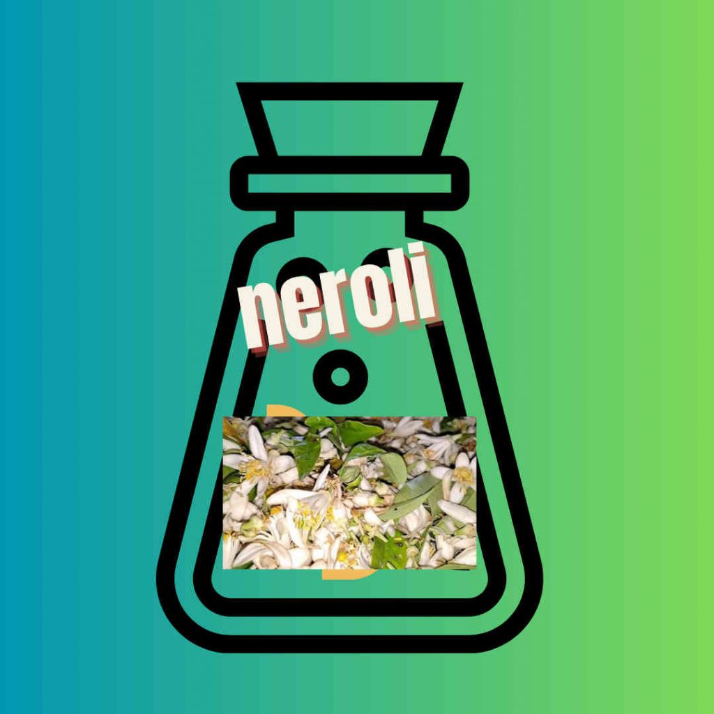 huile essentielle neroli grasse production locale 06 cote d azur