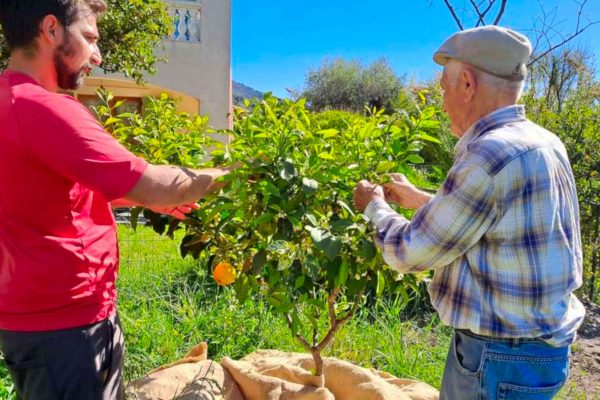 organic orange blossom syrup producer grasse cote d'azur 06