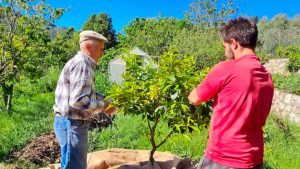 sirop fleur oranger bio producteur grasse cote dazur 06