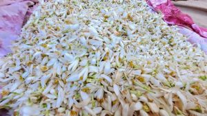 eau fleur oranger aromes parfums distillateur cite dazur pays grassois