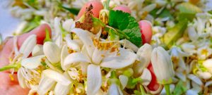 agriculteur producteur transformateur distillateur bio ppam fleurs parfums blog grasse cote dazur