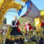 Chars décorés de mimosa pendant la parade de Mandelieu