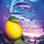 Terroir-06 vous donne rendez-vous à la Fête du Citron de Menton 2026 fete du citron de menton, marché de producteurs, produits locaux, confitures miels et sirops bio