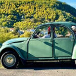 🌸 Nouveau partenariat local : Mademoiselle Riviera 🤍 x TERROIR-06 🍯 Visite des exploitations de plantes à parfums en Pays de Grasse, au cœur de paysages fleuris et du savoir-faire parfumeur