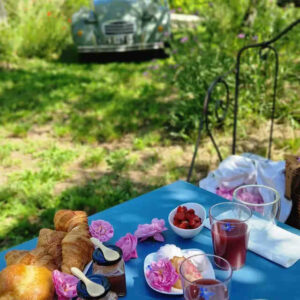 Visite des exploitations de plantes à parfums en Pays de Grasse, au cœur de paysages fleuris et du savoir-faire parfumeur