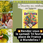 🌼 FÊTES DU MIMOSA 2026 – CÔTE D’AZUR 🌼 fete du mimosa de mandelieu, corsos et marché de producteurs, confitures et miel de mimosa