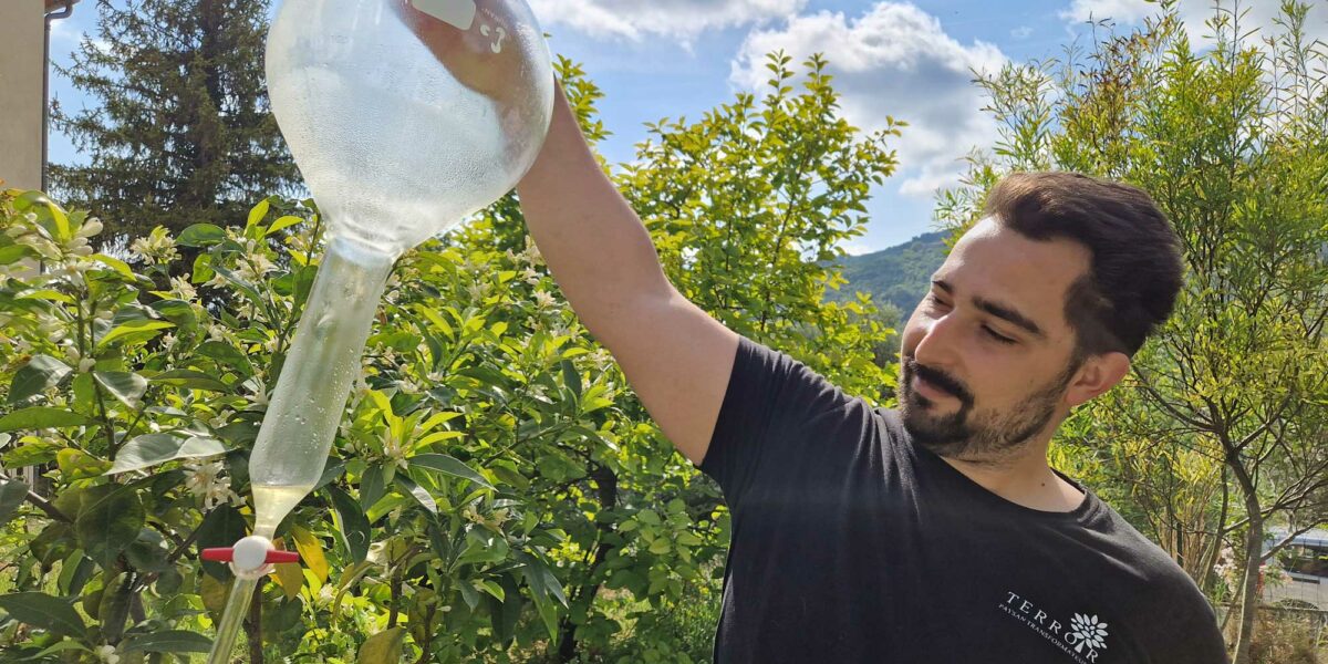 distillation, hydrolats, eau florales bio produites en pays de grasse