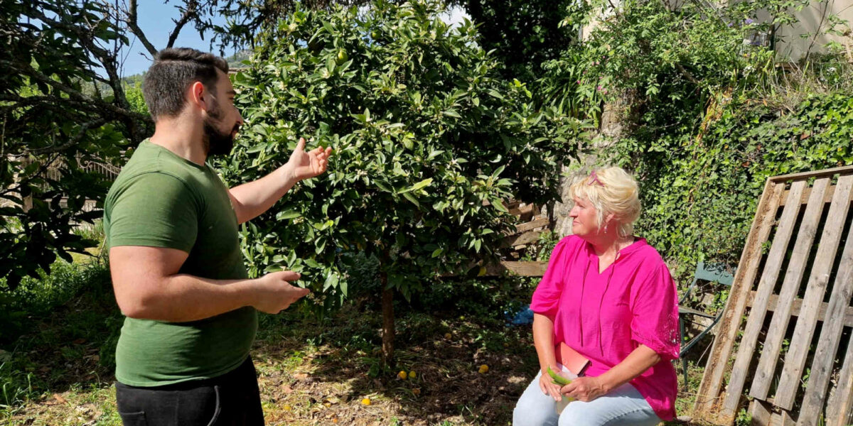 Aromathérapeute en visite dans une plantation d’orangers bigaradiers
