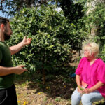 Aromathérapeute en visite dans une plantation d’orangers bigaradiers