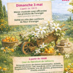 fete de l'oranger de vallauris à la cooperative du nérolium, marché autour des savoirs faire liés aux plantes à parfums du Pays de Grasse