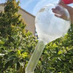 producteur d'huiles essentielles bio en Pays de Grasse