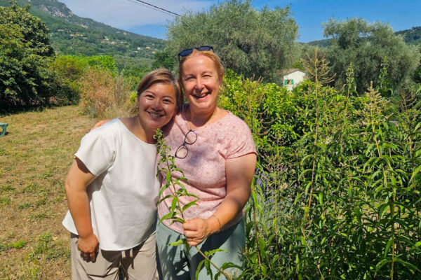 hydrolats, eaus florales et huiles essentielles du Pays de Grasse en comsetique