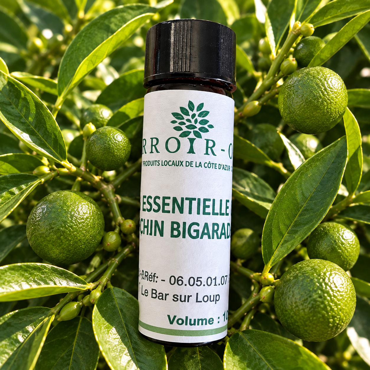 Huile essentielle de Petit Grain Bigaradier BIO produite en France – TERROIR-06
