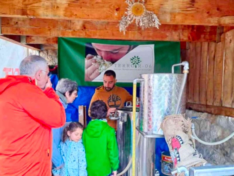 agriculteur producteur transformateur distillateur  bio ppam fleurs parfums blog grasse cote dazur