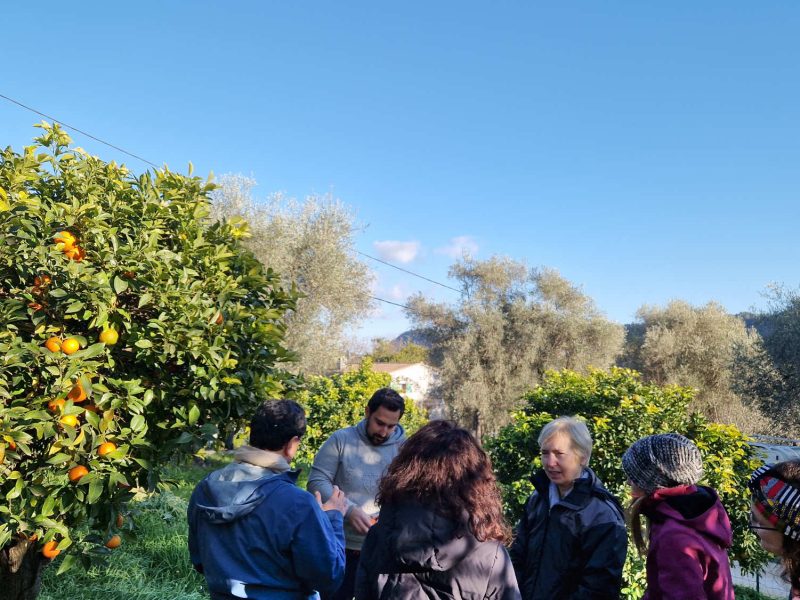visiter une exploitation de plantes à parfums en Pays de Grasse