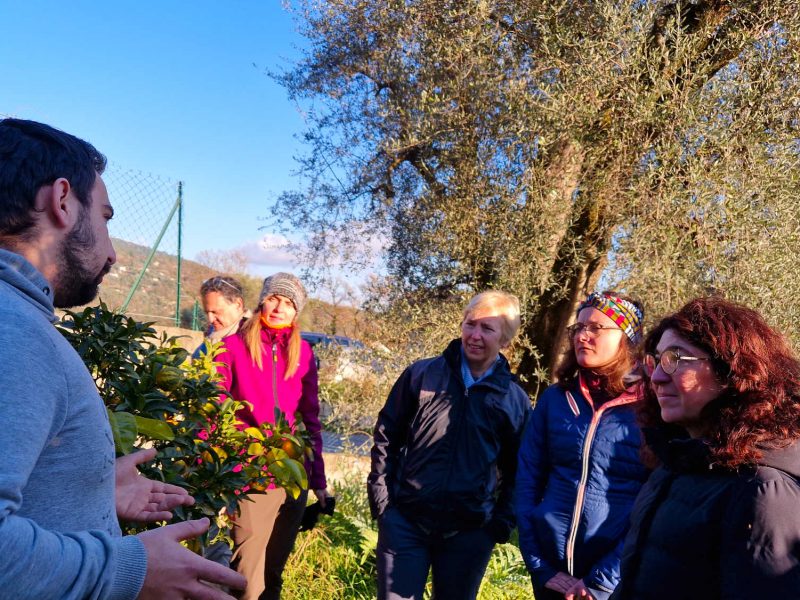 visiter une exploitation de plantes à parfums en Pays de Grasse