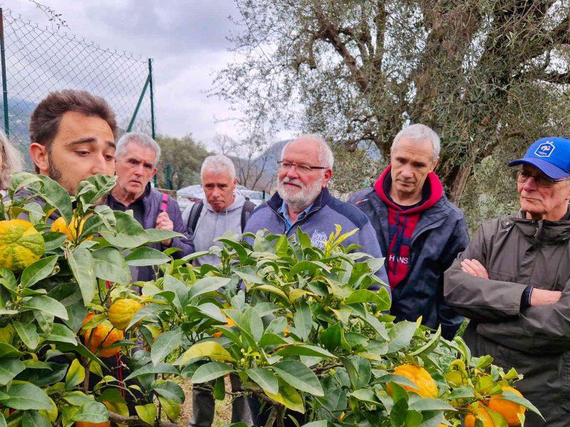 agriculteur producteur transformateur distillateur  bio ppam fleurs parfums blog grasse cote dazur