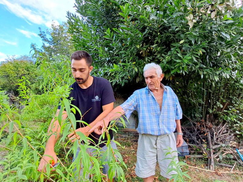 agriculteur producteur transformateur distillateur  bio ppam fleurs parfums blog