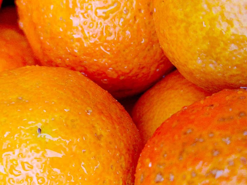 agriculteur producteur transformateur distillateur  bio ppam fleurs parfums blog grasse cote dazur