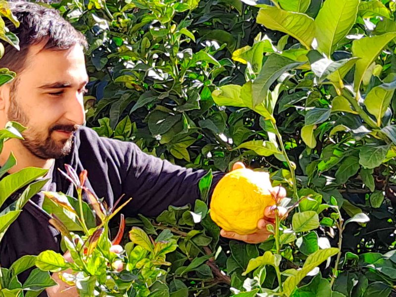 agriculteur producteur transformateur distillateur  bio ppam fleurs parfums blog