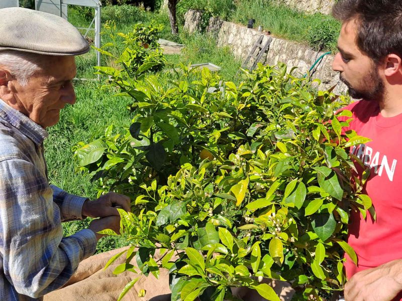 producteur plantes fleurs parfums grasse bio porttrait eugene