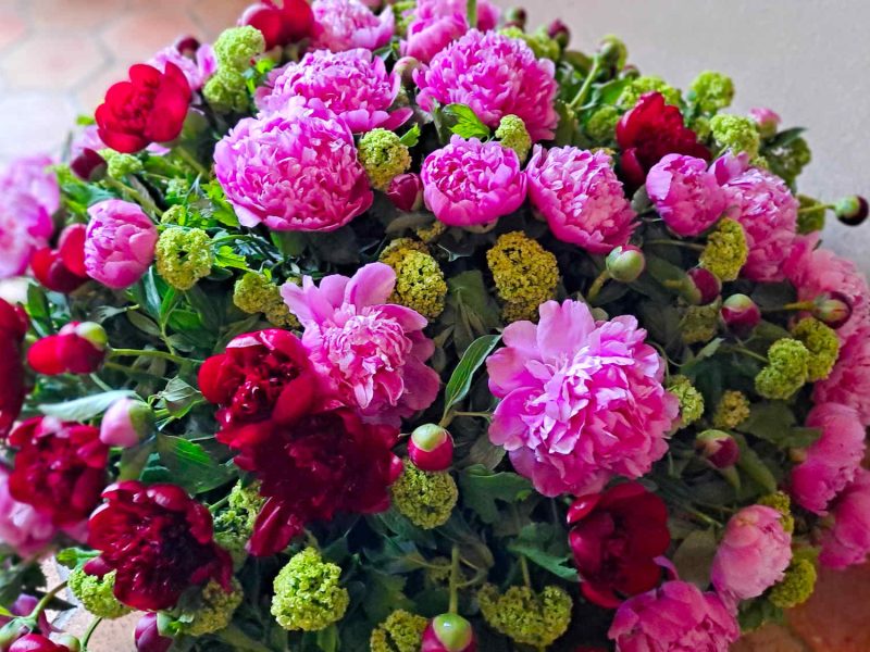 exporose grasse fete marche terroir 06 producteurs blog