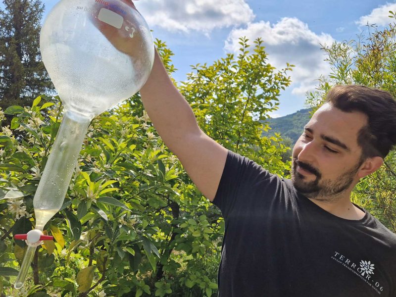 distillation, hydrolats, eau florales bio produites en pays de grasse, cote d'azur