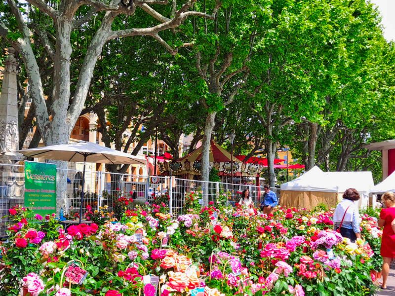 exporose grasse fete marche terroir 06 producteurs blog