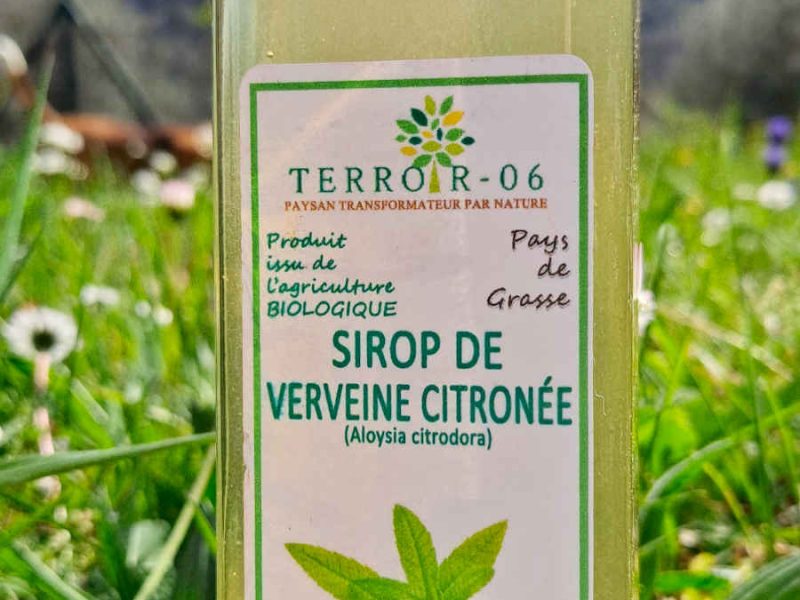 Verbena syrup