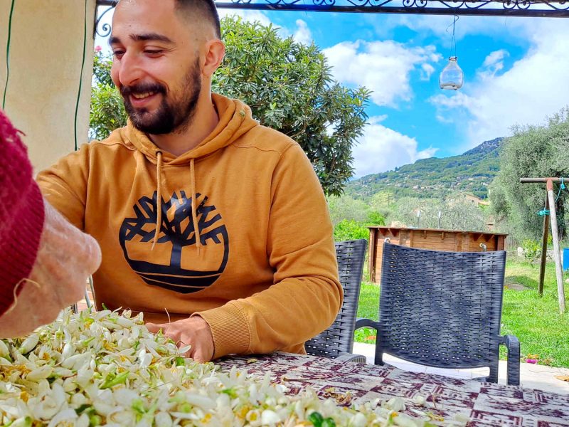 water orange flower local producer alpes maritimes 06 grasse