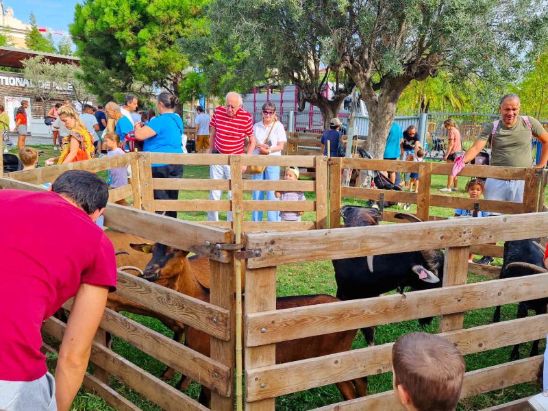 agriculture locale et producteurs locaux alpes maritimes, 06, Côte d'Azur
