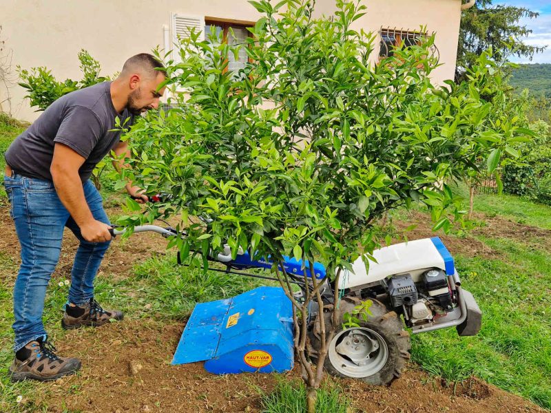 agriculteur producteur transformateur distillateur  bio ppam fleurs parfums blog