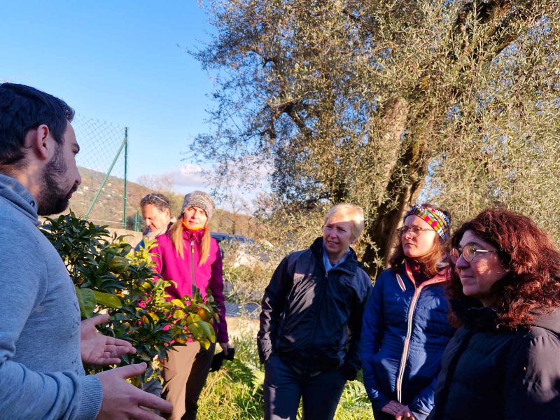 agriculteur bio local grasse cote dazur confitures miels slider