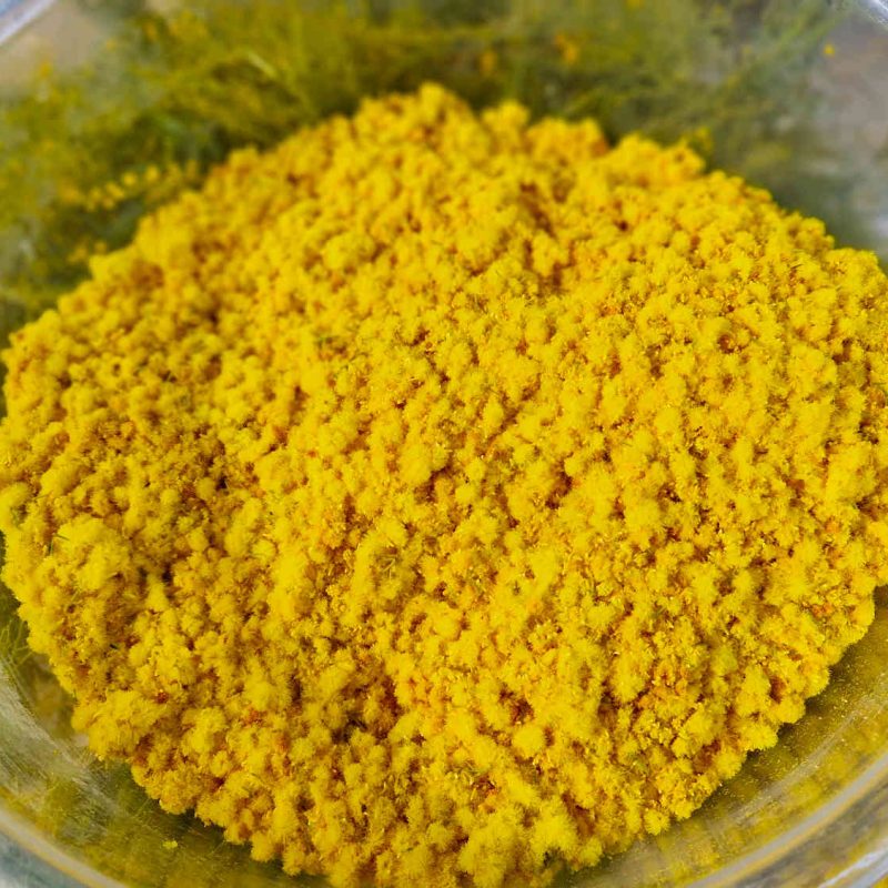 Mimosa preserve, organic producer, French Riviera, Alpes-Maritimes