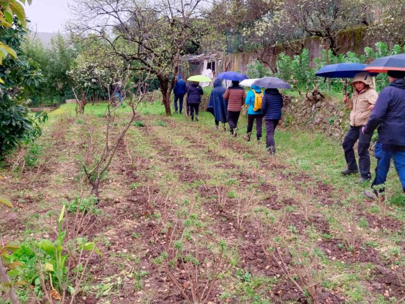 visiter exploitation producteur plantes parfums grasse