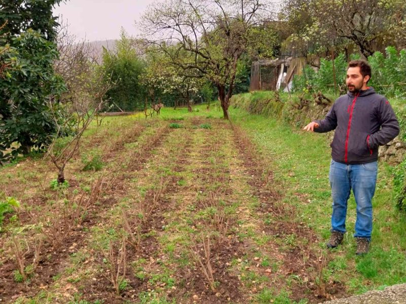 visiter exploitation producteur plantes parfums grasse