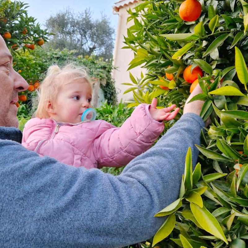 gelee clementine extra bio producteur local cote dazur alpes maritimes 06