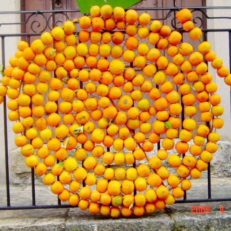 fete orangers bar sur loup patrimoine traditions decouvrir cote d azur