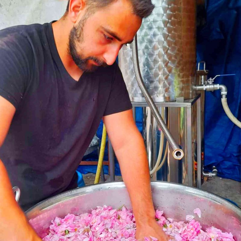 eau rose production distillation locale alpes maritimes 06 pays grassois