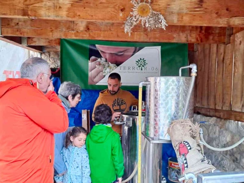 visiter une exploitation de plantes à parfums en Pays de Grasse