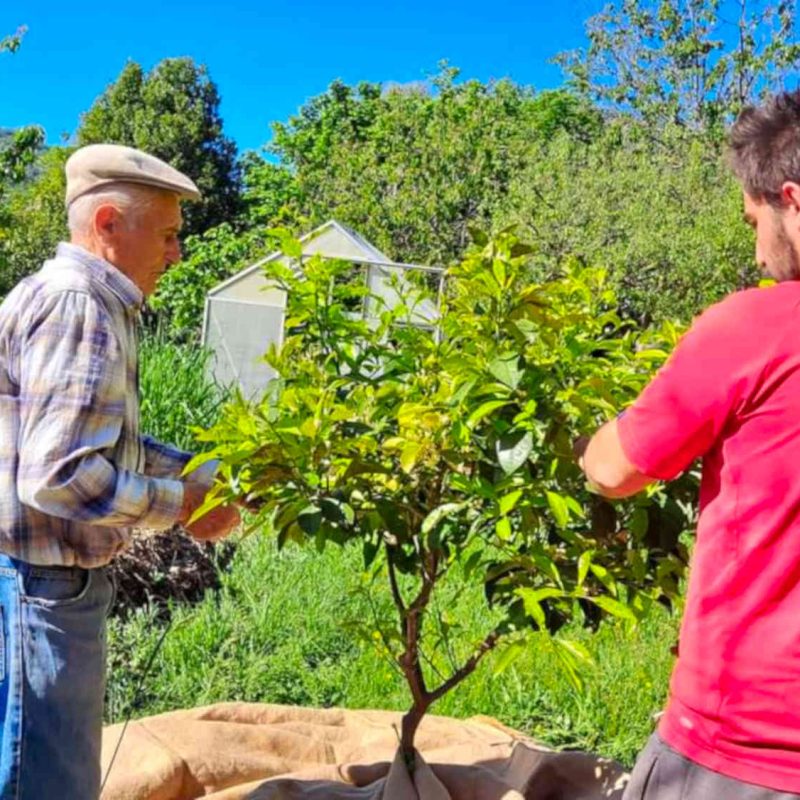 sirop fleur oranger bio producteur grasse cote dazur 06
