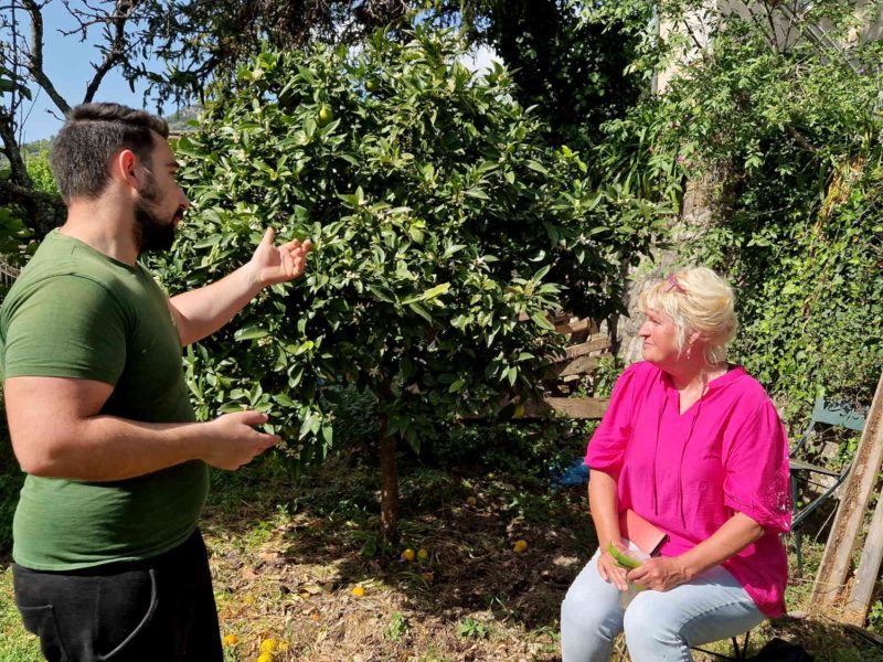 Aromathérapeute en visite dans une plantation d’orangers bigaradiers