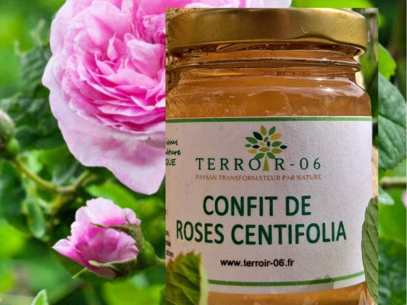 confit rose centifolia producteur grasse cote d azur produits regionaux blog